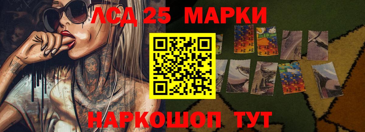 Бердск  mega онион  LSD-25 экстази ecstasy  Вход с VPN  Лсд 25 экстази ecstasy  Лсд 25 экстази 