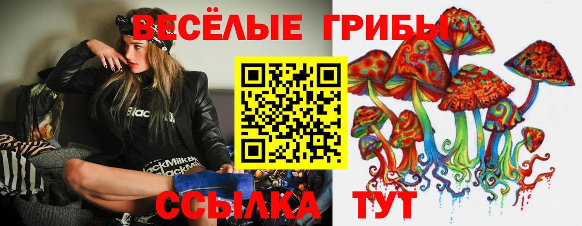Псилоцибиновые грибы мицелий Бердск