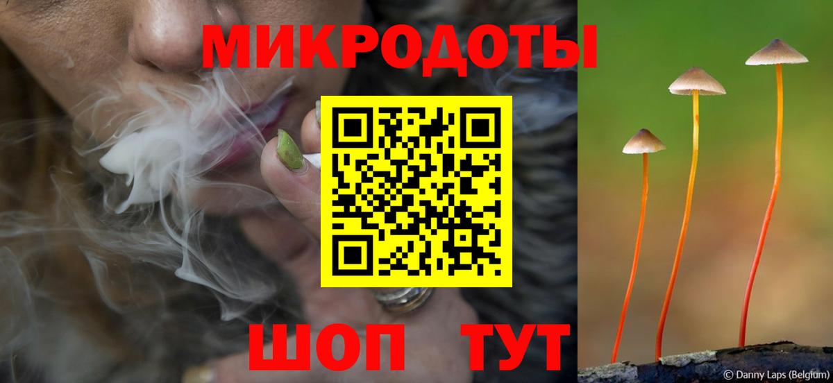 Псилоцибиновые грибы MAGIC MUSHROOMS  Псилоцибиновые грибы Psilocybine cubensis  Бердск  Вход с VPN 